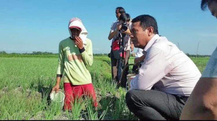 Pemkab Purbalingga Apresiasi Gerak Cepat Mentan Antisipasi Hama Wereng Coklat